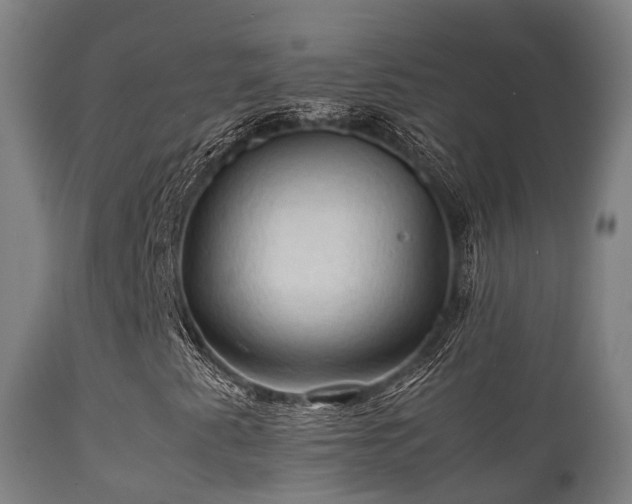 X0000112091345200908111342