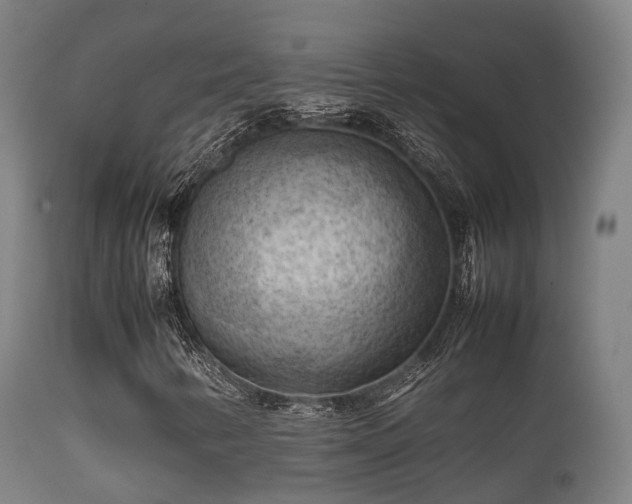 X0000112091346200908111342