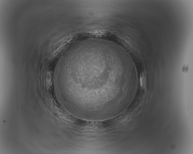 X0000112091347200908111342