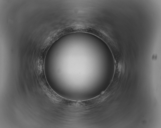 X0000112091348200908111342