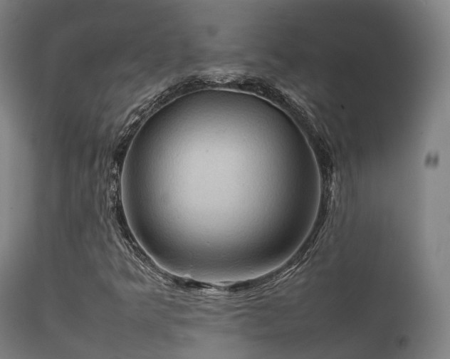 X0000112091349200908111342