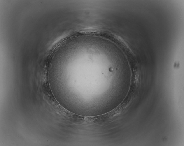 X0000112091350200908111342