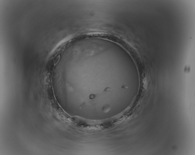 X0000112091351200908111342