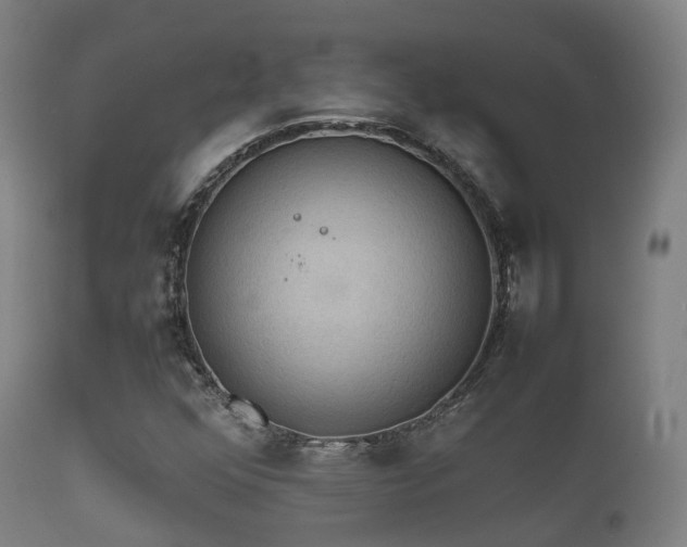 X0000112091352200908111342