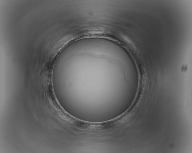 X0000112091353200908111342