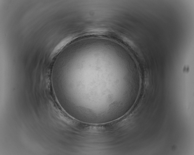 X0000112091354200908111342