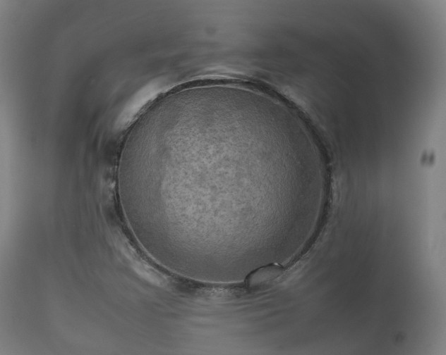 X0000112091355200908111342