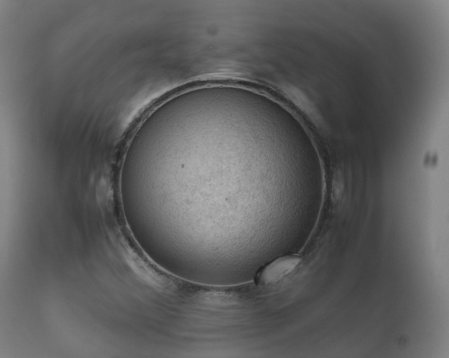 X0000112091356200908111342