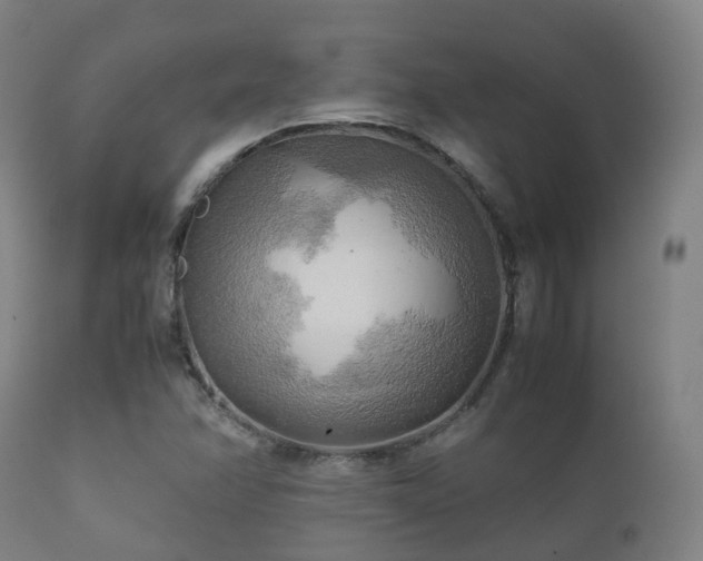 X0000112091358200908111342