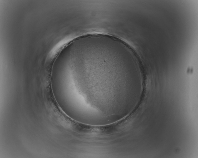 X0000112091359200908111342