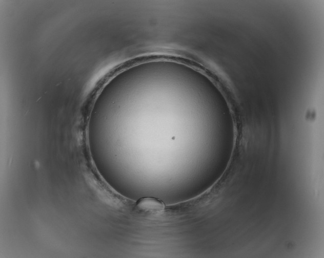 X0000112091360200908111342