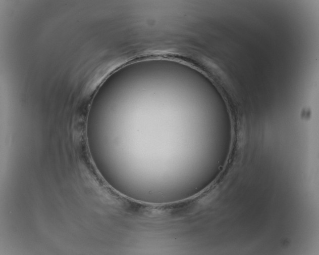 X0000112091361200908111342