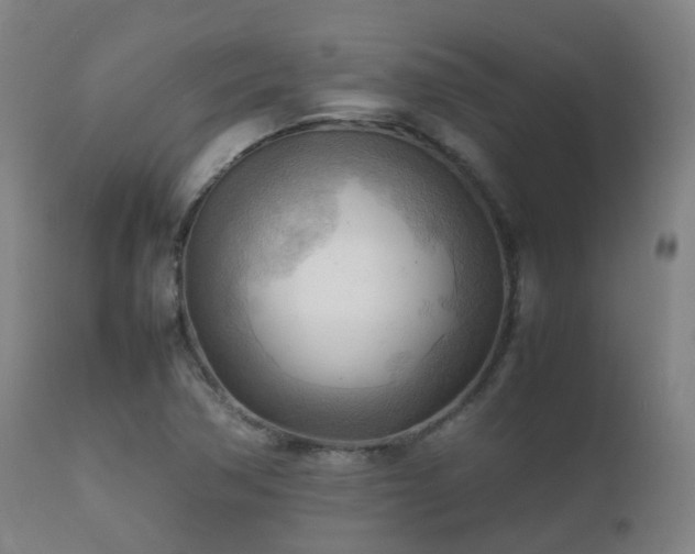 X0000112091362200908111342