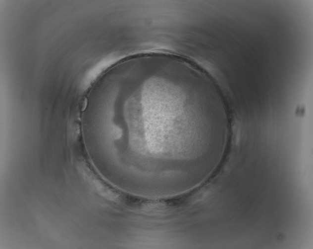 X0000112091363200908111342