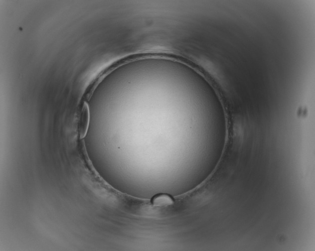 X0000112091364200908111342