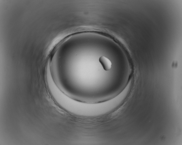 X0000112091365200908111342