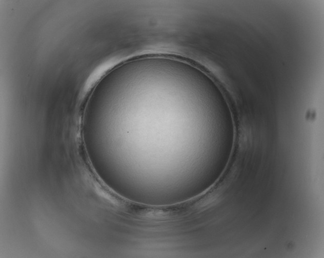 X0000112091366200908111342