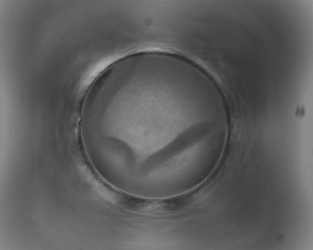 X0000112091367200908111342