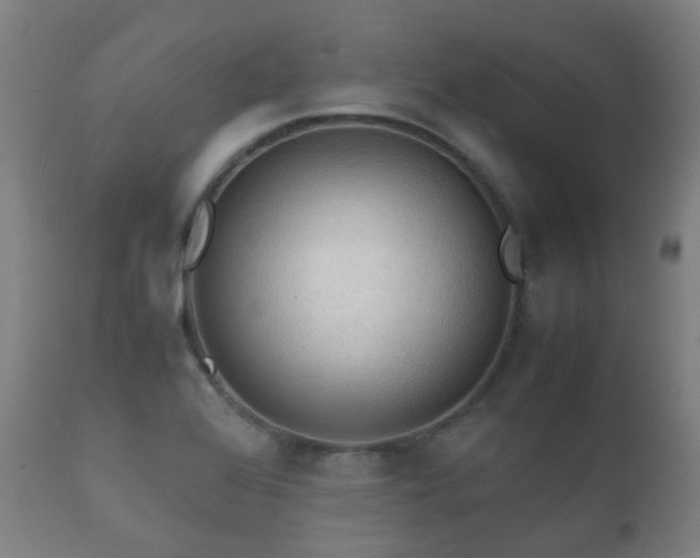 X0000112091368200908111342