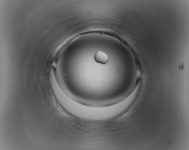 X0000112091369200908111342