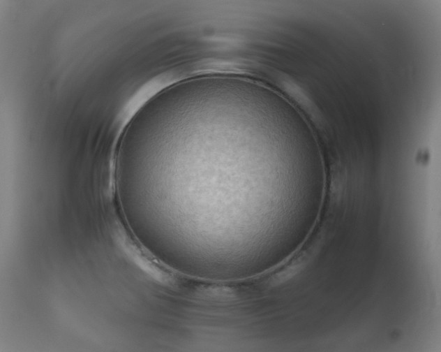 X0000112091370200908111342