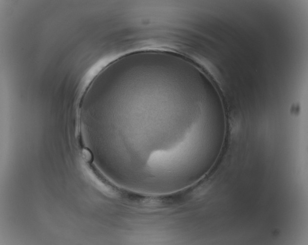 X0000112091371200908111342