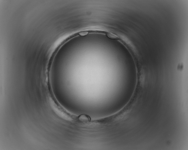 X0000112091372200908111342