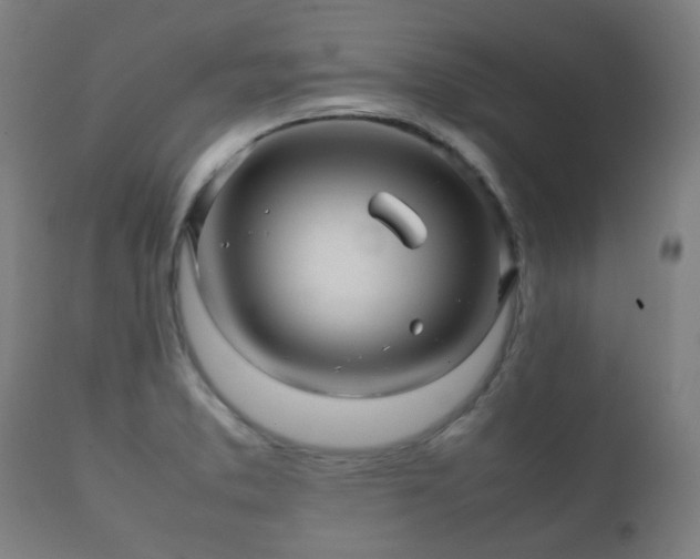 X0000112091373200908111342