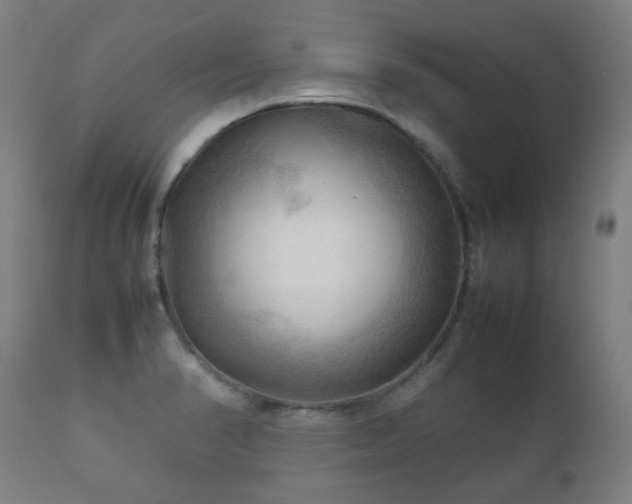 X0000112091374200908111342