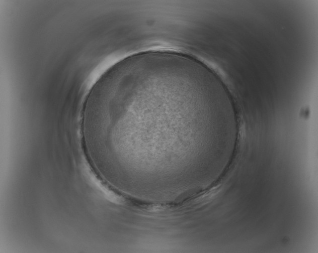 X0000112091375200908111342