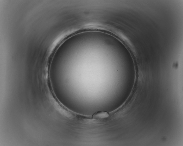 X0000112091376200908111342