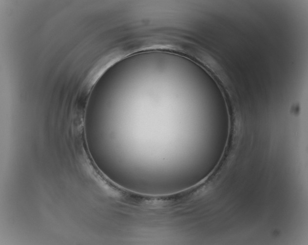 X0000112091377200908111342