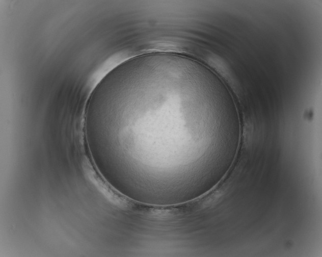 X0000112091378200908111342