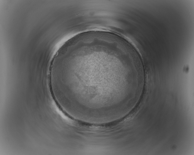 X0000112091379200908111342