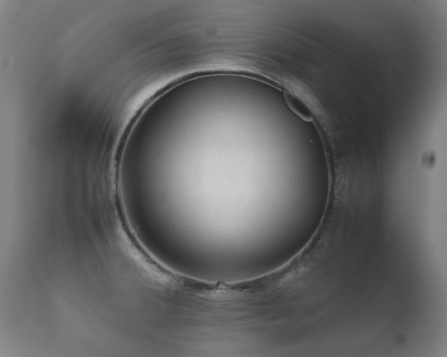 X0000112091380200908111342