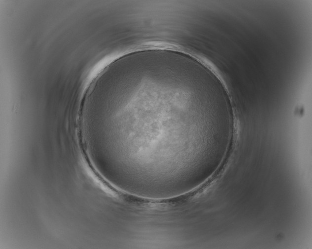 X0000112091381200908111342