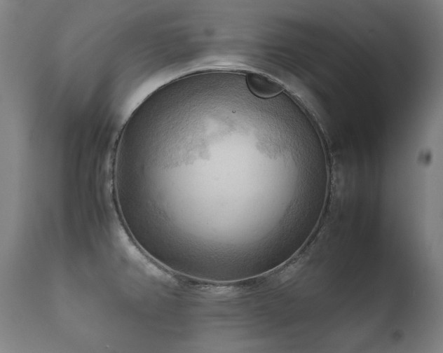 X0000112091382200908111342