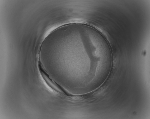 X0000112091383200908111342