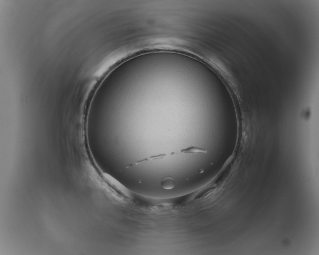 X0000112091384200908111342