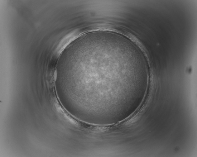 X0000112091385200908111342