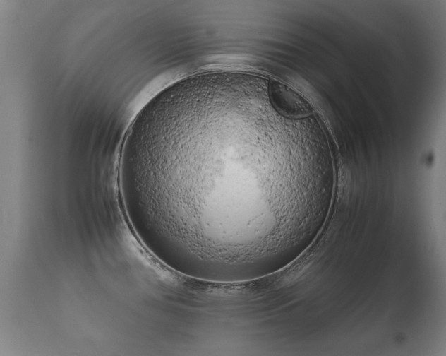 X0000112091386200908111342