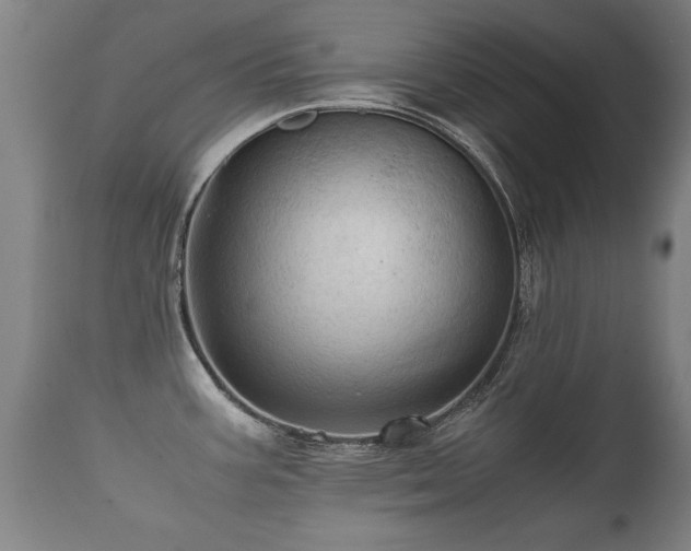 X0000112091387200908111342