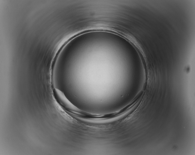 X0000112091388200908111342