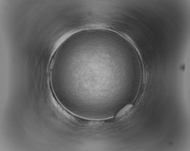 X0000112091389200908111342