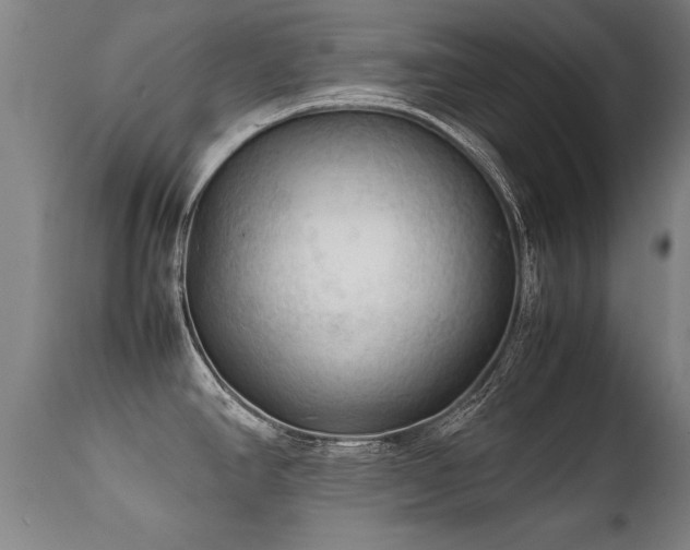 X0000112091390200908111342