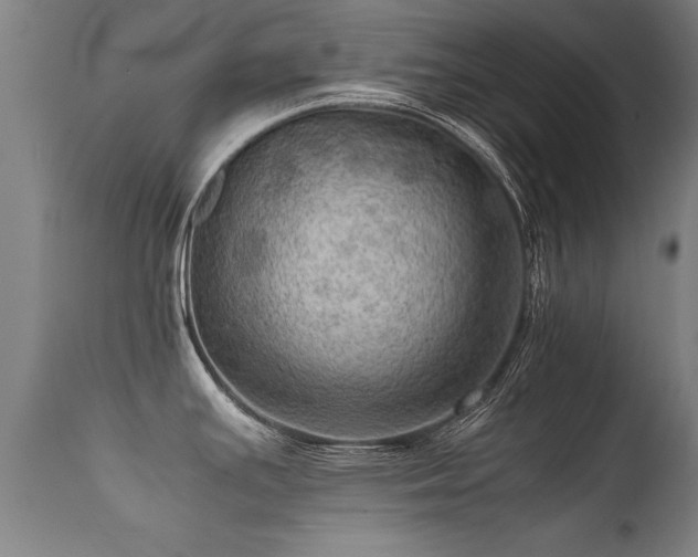 X0000112091391200908111342