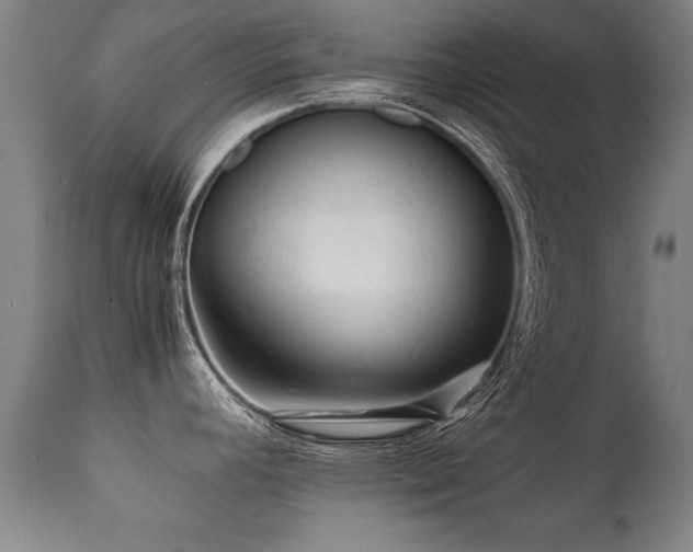 X0000112091392200908111342