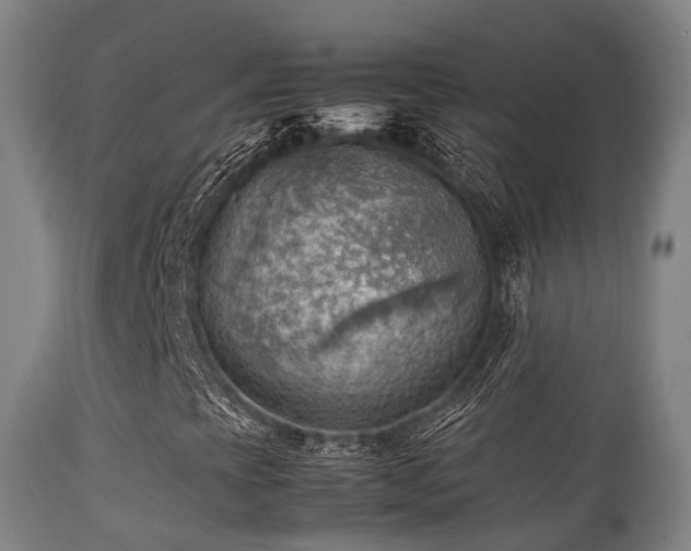 X0000112091393200908111341