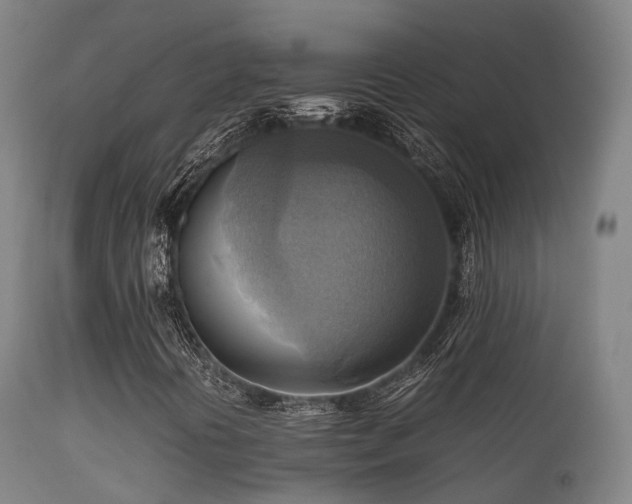 X0000112091394200908111341