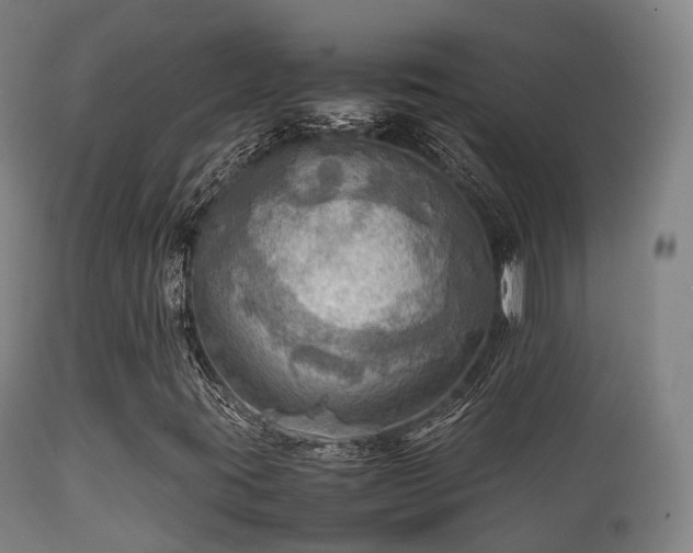 X0000112091395200908111341